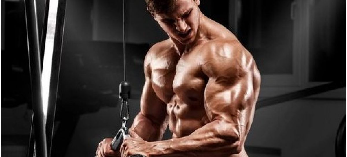 Rules for safe indoor and outdoor training with Anabolic Steroids