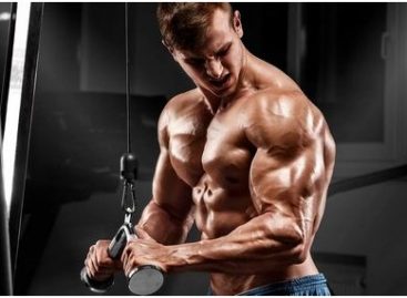 Rules for safe indoor and outdoor training with Anabolic Steroids