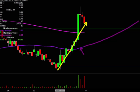 Exploring The Akba Stock Price