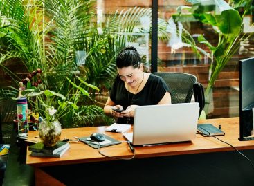 Various Kinds Of Plants That Will Keep Your Workspace Productive
