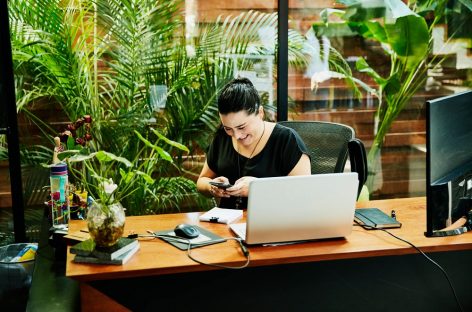 Various Kinds Of Plants That Will Keep Your Workspace Productive