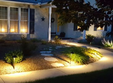 Illuminating Your Landscape: Landscape Lighting and Lawn Care