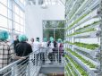 Innovative cold storage solutions for urban vertical farms