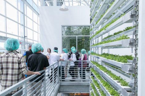 Innovative cold storage solutions for urban vertical farms