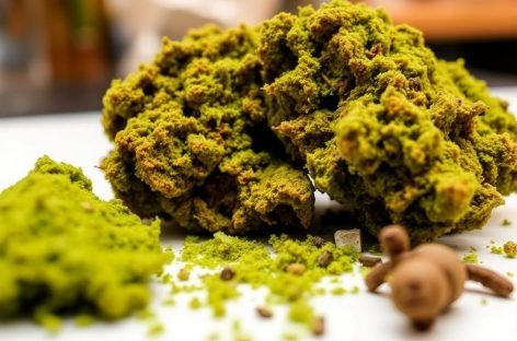 Where to Get Hashish in Prague: Types, Quality, and Costs