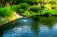 How Biological Pond Filters Transform Your Water Quality