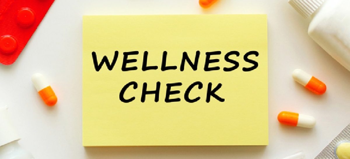 How a Wellness Check Can Detect Early Health Concerns You Might Miss